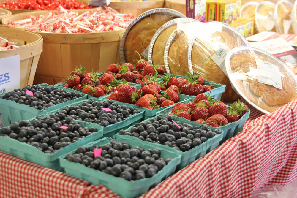 Fresh Picked Berries