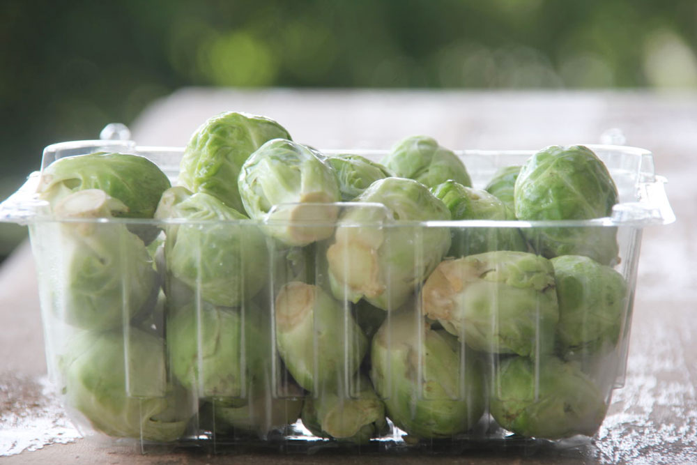 Brussel Sprouts