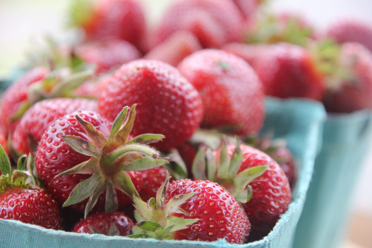 Fresh Strawberries