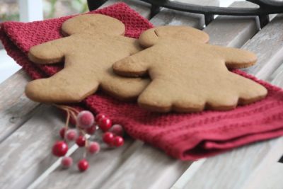 9" Gingerbread Boy or Girl Cookie