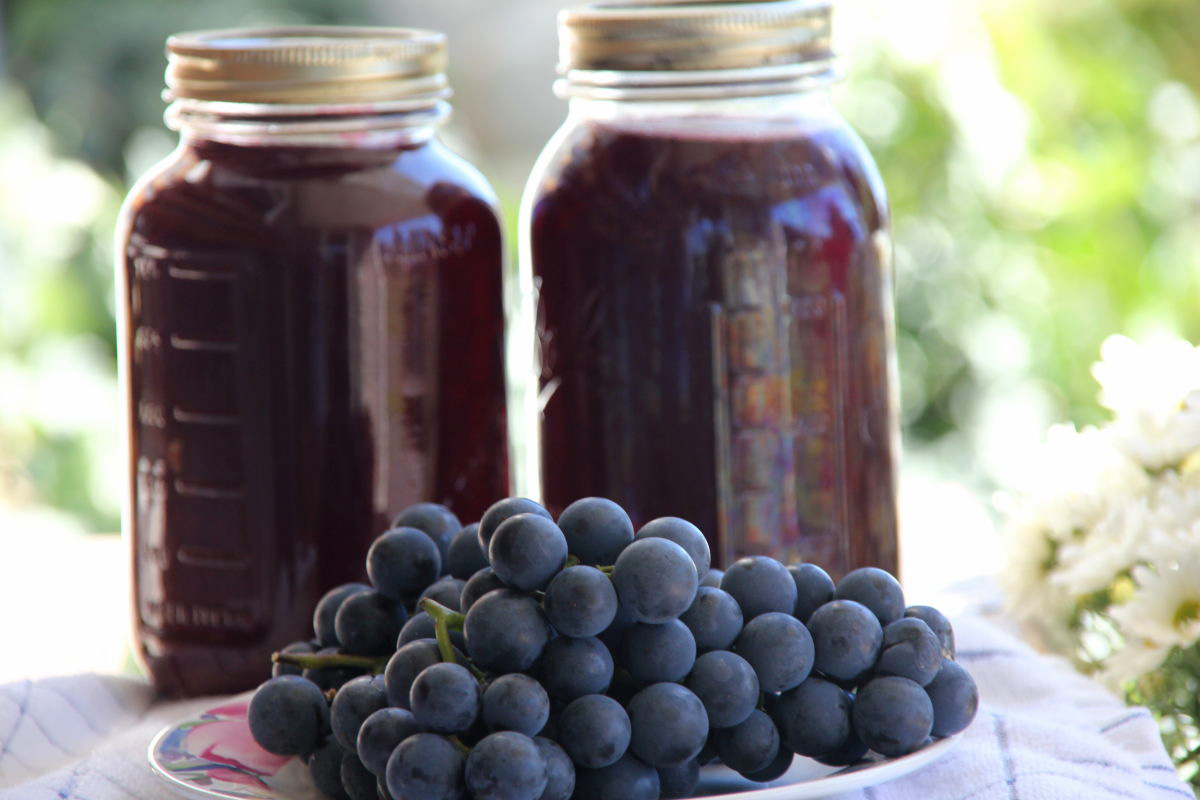 Fresh Grapes and Grape Juice
