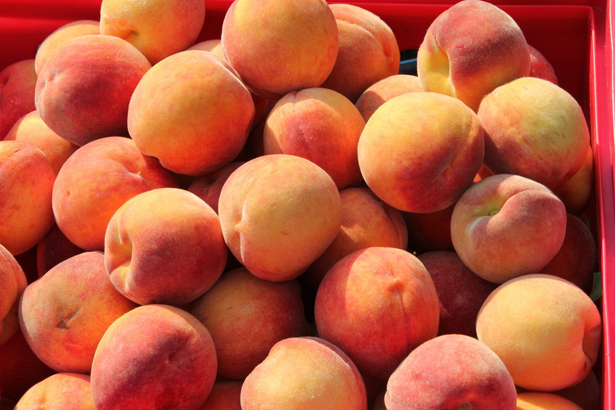 Peaches