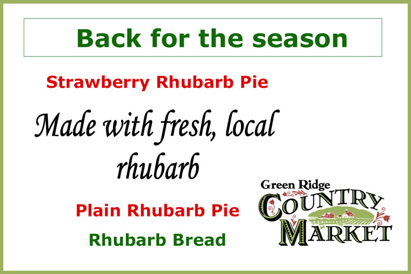 Fresh Rhubarb Pies