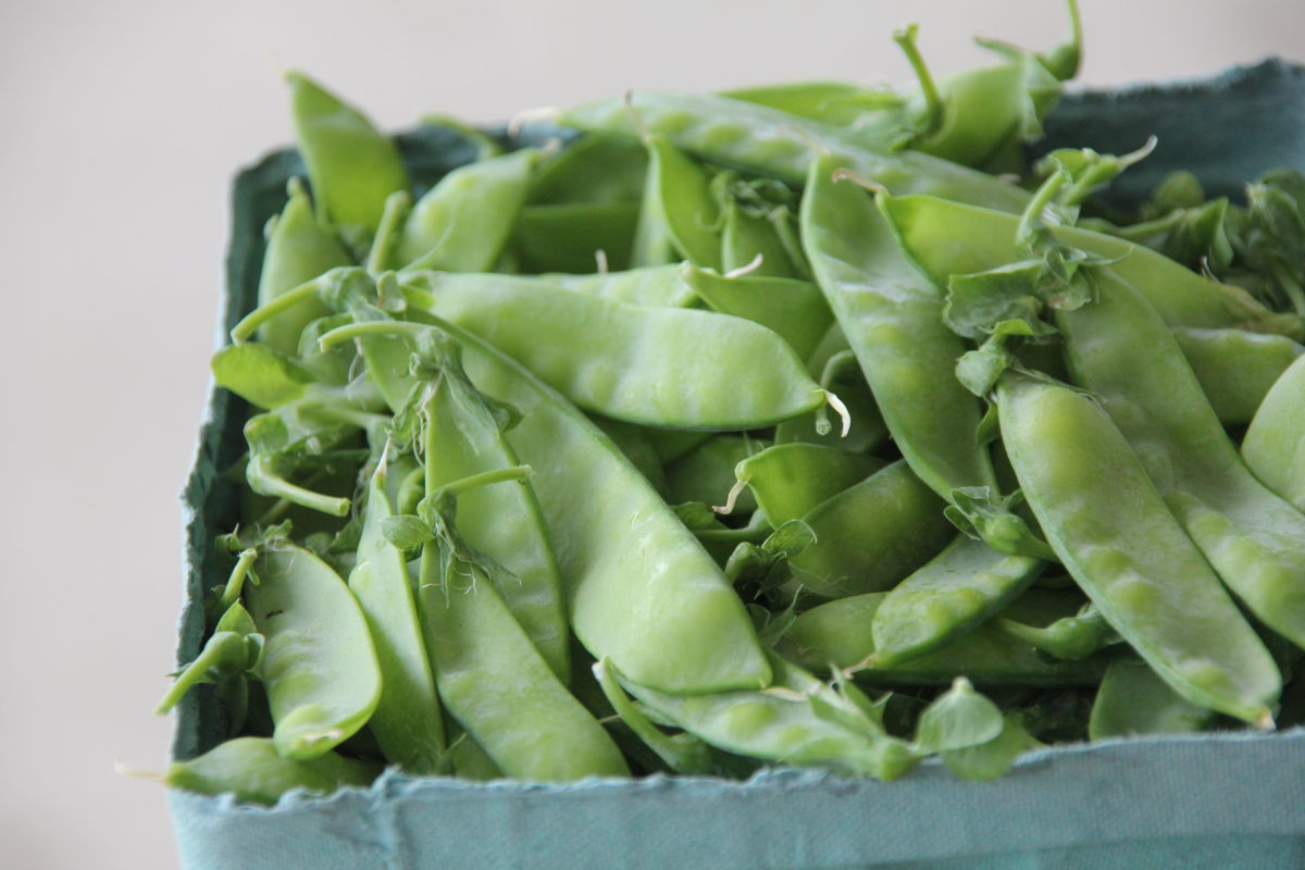 Sugar Peas
